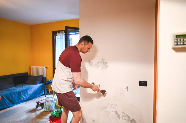 Best Crawl Space Mold Removal  in Conneaut Lakeshore, PA