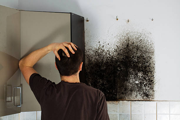 Best Office Mold Removal Services  in Conneaut Lakeshore, PA